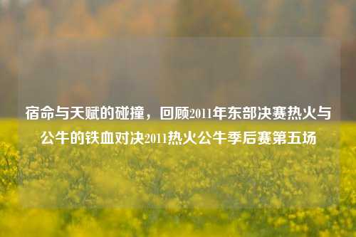 宿命与天赋的碰撞,回顾2011年东部决赛热火与公牛的铁血对决2011热火公牛季后赛第五场