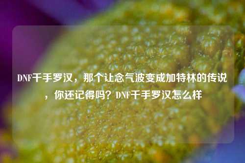 DNF千手罗汉，那个让念气波变成加特林的传说，你还记得吗？DNF千手罗汉怎么样