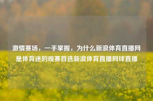 激情赛场,一手掌握,为什么新浪体育直播网是体育迷的观赛首选新浪体育直播网球直播