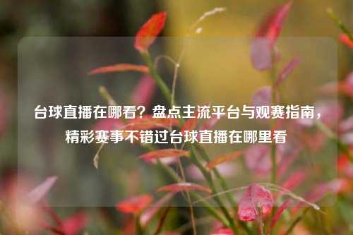 台球直播在哪看?盘点主流平台与观赛指南,精彩赛事不错过台球直播在哪里看