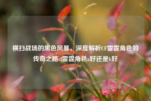 横扫战场的黑色风暴,深度解析CF雷霆角色的传奇之路cf雷霆角色a好还是b好