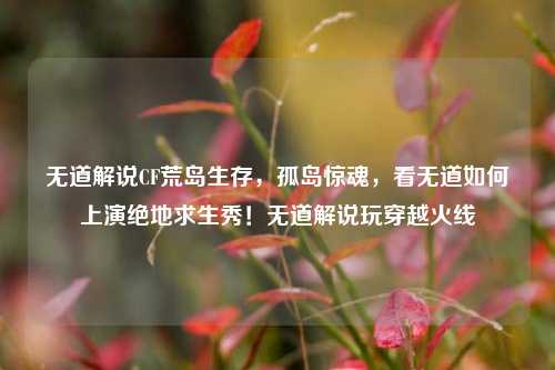 无道解说CF荒岛生存，孤岛惊魂，看无道如何上演绝地求生秀！无道解说玩穿越火线