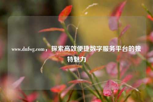 www.dnfwg.com,探索高效便捷数字服务平台的独特魅力
