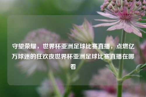 守望荣耀，世界杯亚洲足球比赛直播，点燃亿万球迷的狂欢夜世界杯亚洲足球比赛直播在哪看