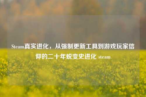 Steam真实进化,从强制更新工具到游戏玩家信仰的二十年蜕变史进化 steam