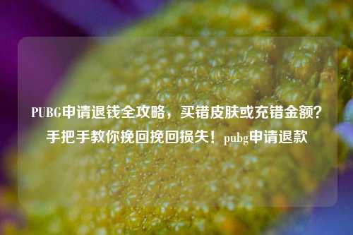 PUBG申请退钱全攻略,买错皮肤或充错金额?手把手教你挽回挽回损失!pubg申请退款