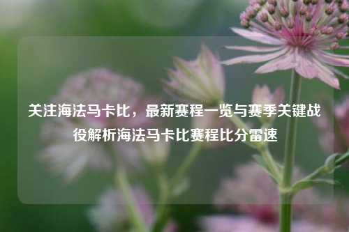 关注海法马卡比，最新赛程一览与赛季关键战役解析海法马卡比赛程比分雷速