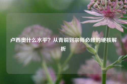 卢西奥什么水平?从青铜到宗师必修的硬核解析