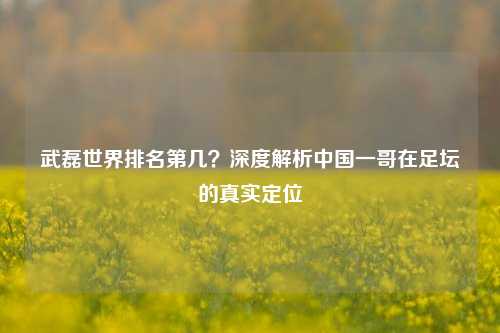 武磊世界排名第几？深度解析中国一哥在足坛的真实定位