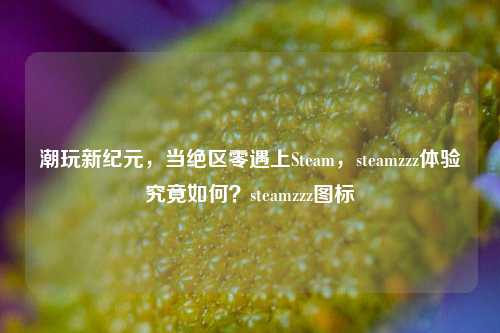 潮玩新纪元,当绝区零遇上Steam,steamzzz体验究竟如何?steamzzz图标