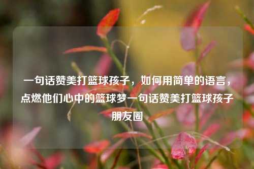 一句话赞美打篮球孩子,如何用简单的语言,点燃他们心中的篮球梦一句话赞美打篮球孩子朋友圈