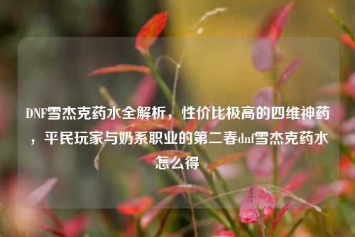 DNF雪杰克药水全解析，性价比极高的四维神药，平民玩家与奶系职业的第二春dnf雪杰克药水怎么得