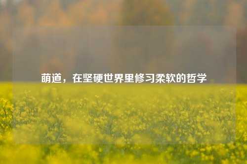 萌道,在坚硬世界里修习柔软的哲学