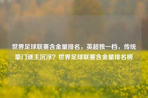世界足球联赛含金量排名,英超独一档,传统豪门谁主沉浮?世界足球联赛含金量排名榜