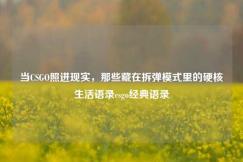 当CSGO照进现实，那些藏在拆弹模式里的硬核生活语录csgo经典语录