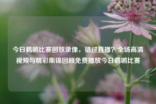 今日鹈鹕比赛回放录像,错过直播?全场高清视频与精彩集锦回顾免费播放今日鹈鹕比赛