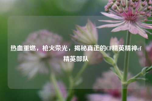 热血重燃，枪火荣光，揭秘真正的CF精英精神cf精英部队