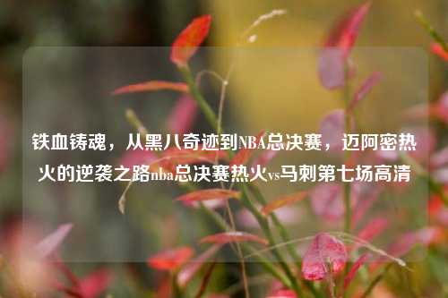 铁血铸魂,从黑八奇迹到NBA总决赛,迈阿密热火的逆袭之路nba总决赛热火vs马刺第七场高清