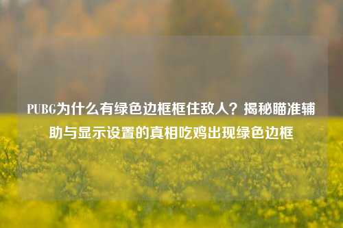 PUBG为什么有绿色边框框住敌人？揭秘瞄准辅助与显示设置的真相吃鸡出现绿色边框