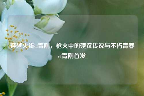 穿越火线cf青刚，枪火中的硬汉传说与不朽青春cf青刚首发