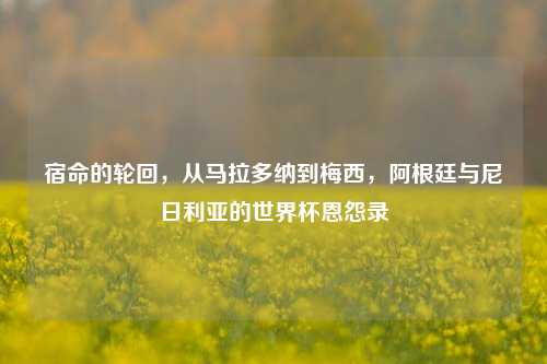 宿命的轮回，从马拉多纳到梅西，阿根廷与尼日利亚的世界杯恩怨录