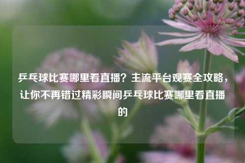 乒乓球比赛哪里看直播？主流平台观赛全攻略，让你不再错过精彩瞬间乒乓球比赛哪里看直播的