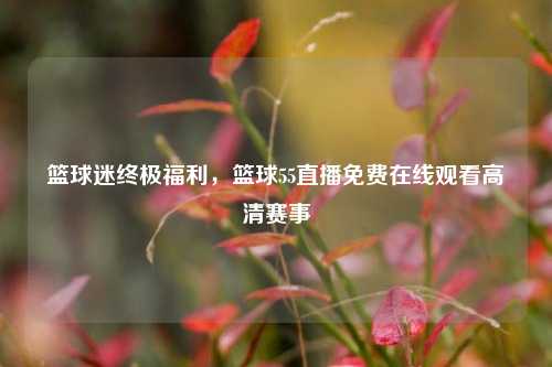 篮球迷终极福利，篮球55直播免费在线观看高清赛事