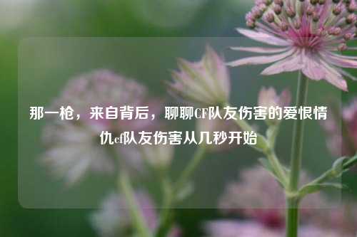 那一枪，来自背后，聊聊CF队友伤害的爱恨情仇cf队友伤害从几秒开始