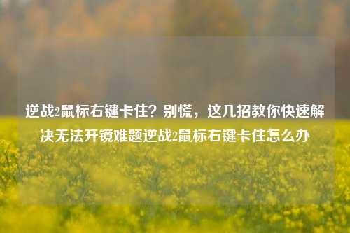 逆战2鼠标右键卡住?别慌,这几招教你快速解决无法开镜难题逆战2鼠标右键卡住怎么办