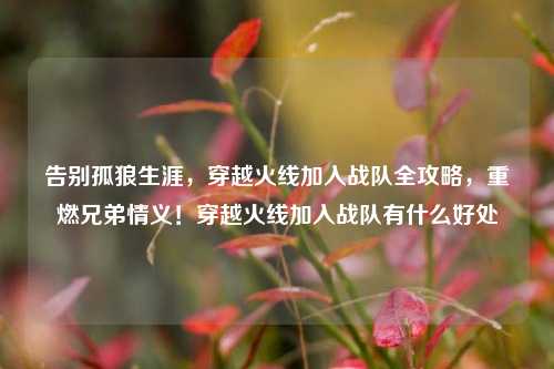 告别孤狼生涯,穿越火线加入战队全攻略,重燃兄弟情义!穿越火线加入战队有什么好处