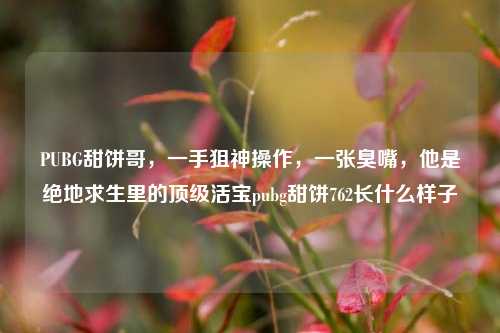 PUBG甜饼哥，一手狙神操作，一张臭嘴，他是绝地求生里的顶级活宝pubg甜饼762长什么样子