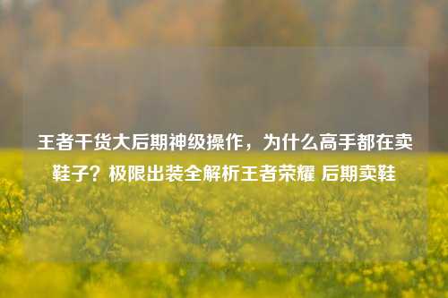王者干货大后期神级操作，为什么高手都在卖鞋子？极限出装全解析王者荣耀 后期卖鞋