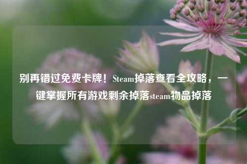 别再错过免费卡牌！Steam掉落查看全攻略，一键掌握所有游戏剩余掉落steam物品掉落