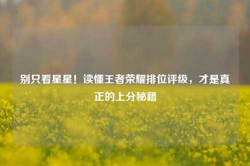 别只看星星!读懂王者荣耀排位评级,才是真正的上分秘籍