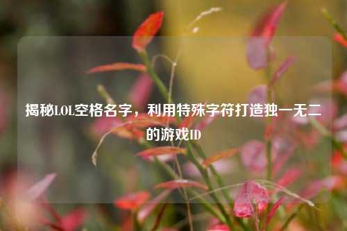 揭秘LOL空格名字，利用特殊字符打造独一无二的游戏ID