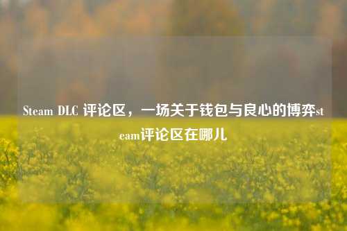 Steam DLC 评论区,一场关于钱包与良心的博弈steam评论区在哪儿