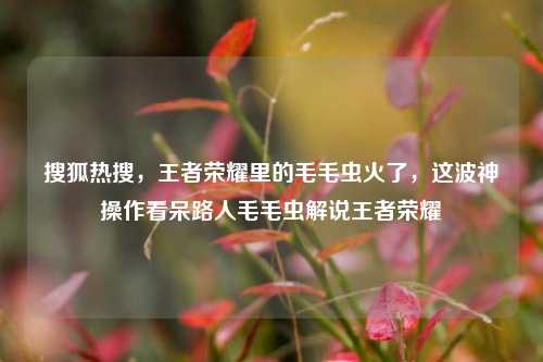 搜狐热搜，王者荣耀里的毛毛虫火了，这波神操作看呆路人毛毛虫解说王者荣耀