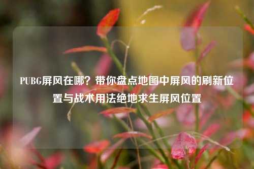 PUBG屏风在哪？带你盘点地图中屏风的刷新位置与战术用法绝地求生屏风位置