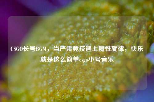 CSGO长号BGM，当严肃竞技遇上魔性旋律，快乐就是这么简单csgo小号音乐