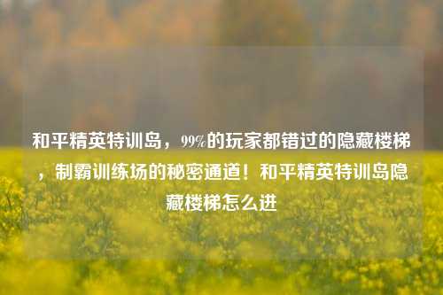 和平精英特训岛,99%的玩家都错过的隐藏楼梯,制霸训练场的秘密通道!和平精英特训岛隐藏楼梯怎么进