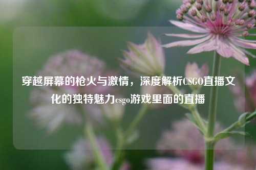 穿越屏幕的枪火与激情，深度解析CSGO直播文化的独特魅力csgo游戏里面的直播