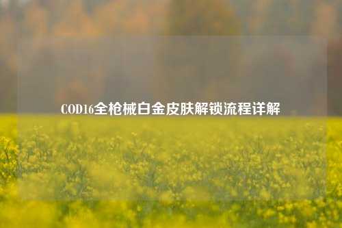 COD16全枪械白金皮肤解锁流程详解