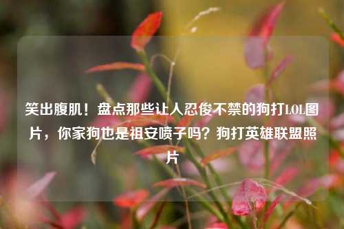 笑出腹肌!盘点那些让人忍俊不禁的狗打LOL图片,你家狗也是祖安喷子吗?狗打英雄联盟照片