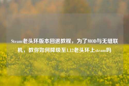 Steam老头环版本回退教程，为了MOD与无缝联机，教你如何降级至1.12老头环上steam吗