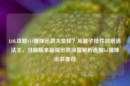 LOL攻略S14猫咪出装大变样?从混子挂件到绝活法王,当前版本最强出装深度解析近期lol猫咪出装推荐