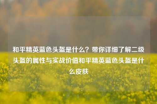 和平精英蓝色头盔是什么？带你详细了解二级头盔的属性与实战价值和平精英蓝色头盔是什么皮肤