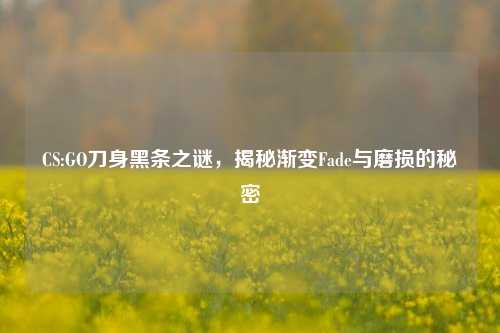 CS:GO刀身黑条之谜,揭秘渐变Fade与磨损的秘密