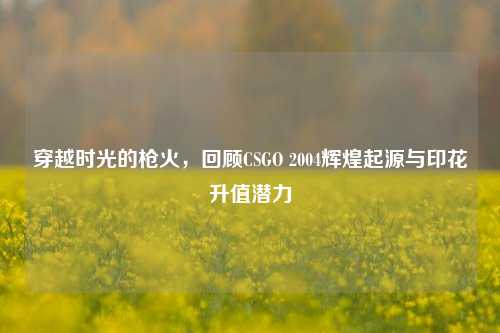 穿越时光的枪火，回顾CSGO 2004辉煌起源与印花升值潜力