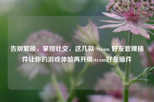 告别繁琐,掌控社交,这几款 Steam 好友管理插件让你的游戏体验再升级steam好友插件