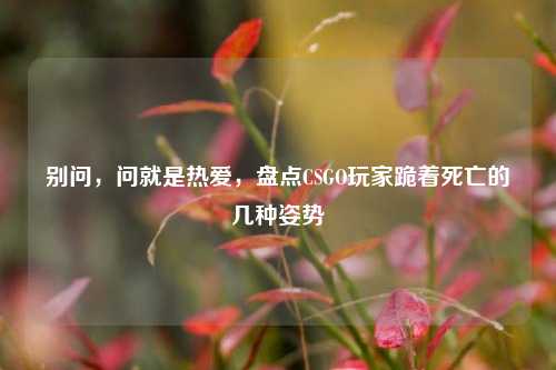 别问,问就是热爱,盘点CSGO玩家跪着死亡的几种姿势